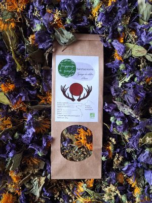 Tisane infusion noël sanctus noctis cocooning